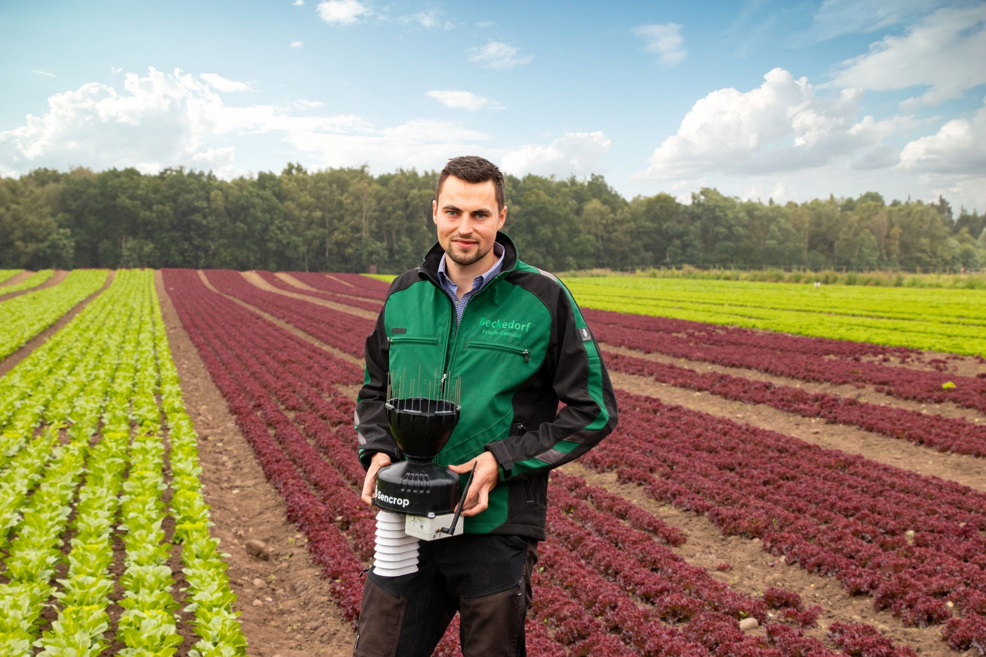 Welche Wetterparameter sind Zu beachten? “Wir haben unsere Salatkulturen jetzt noch besser im Griff”