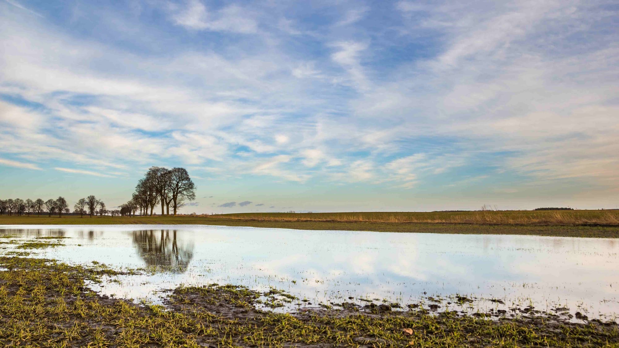 Deutschland: Rekordfrühling mit milden Temperaturen und dramatischen Regenfällen