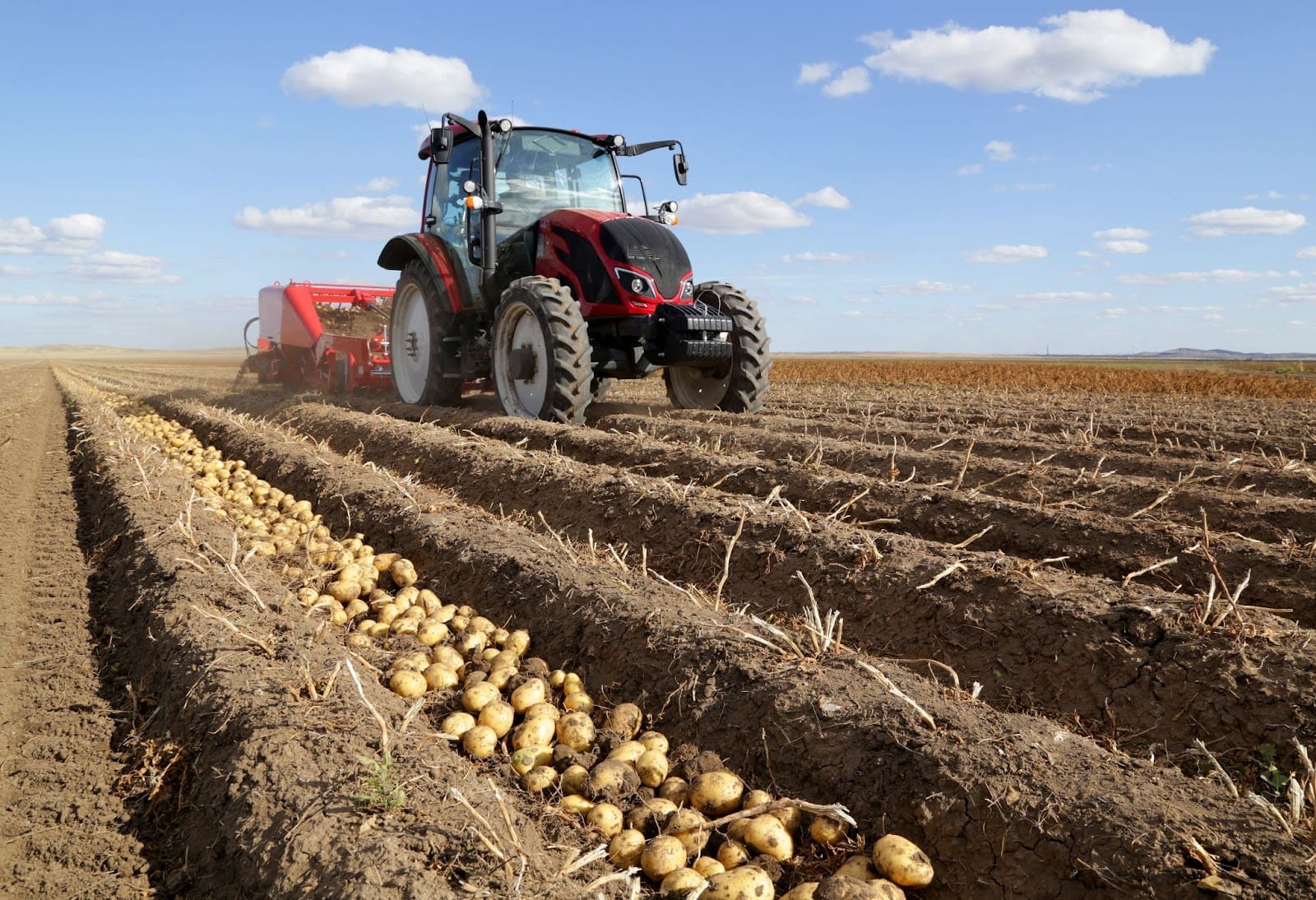 🥔 Kartoffel: anstehende Feldeinsätze