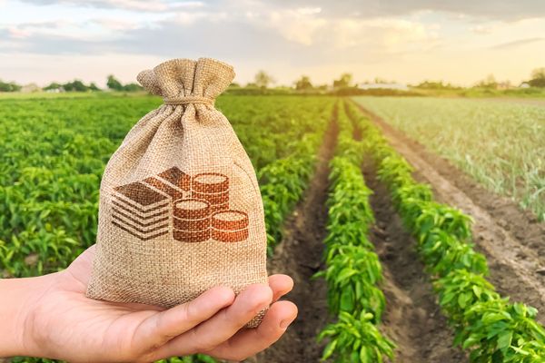 Subventionen für die Landwirtschaft: Für wen, wann und wie?