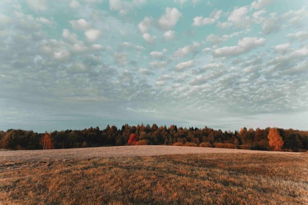 Saisonale Vorhersagen für den Herbst 2024