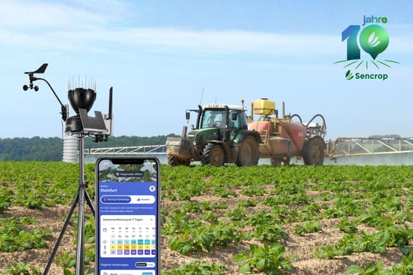 Spritzfenster frühzeitig erkennen und nutzen